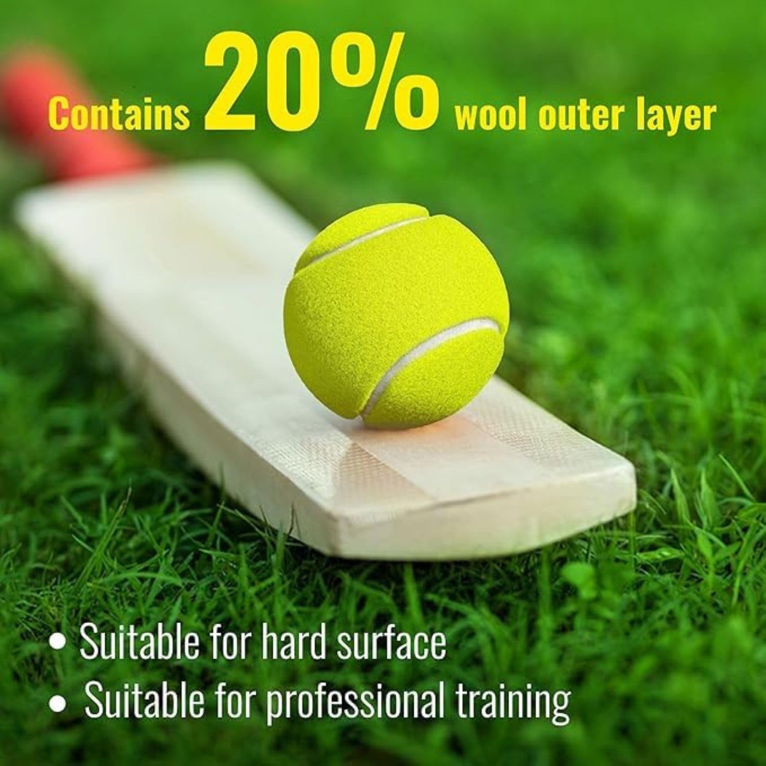 CricketBall-02.jpg