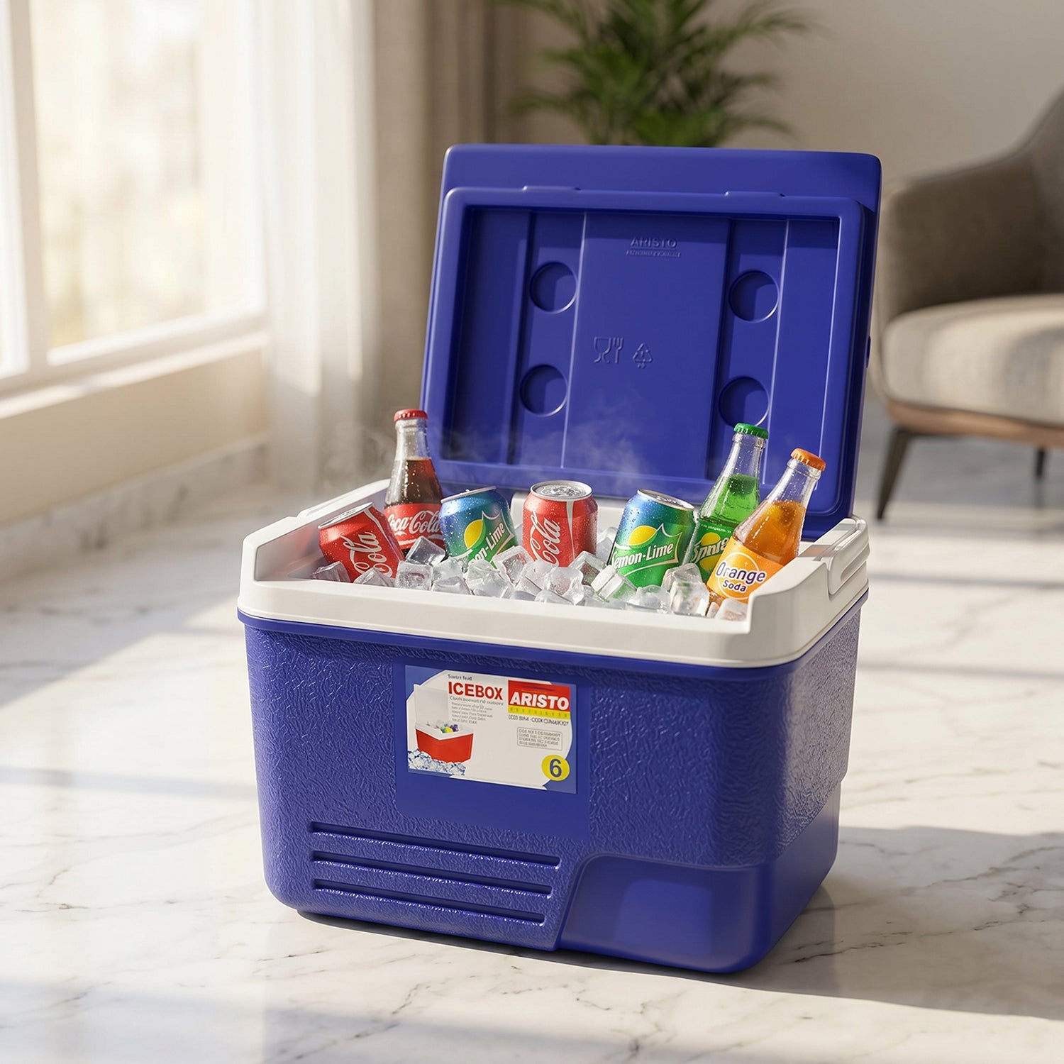 Icebox6Ltr-03.jpg