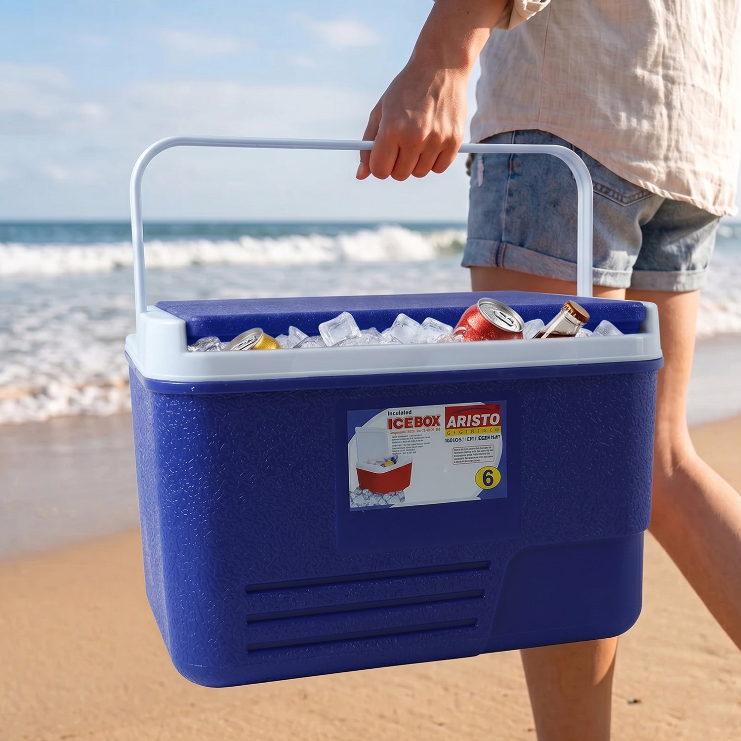 Icebox6Ltr-05.jpg