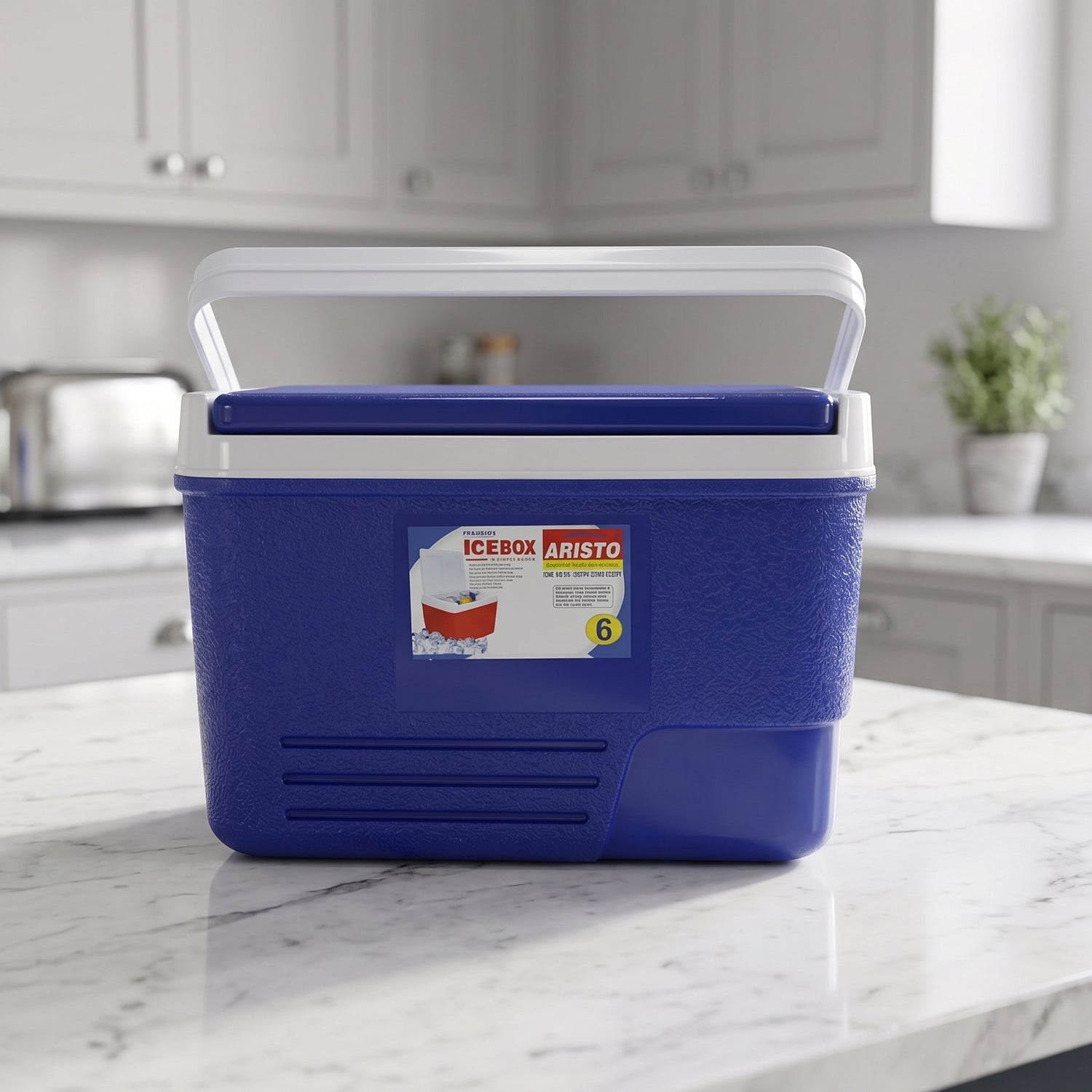 Icebox6Ltr-06.jpg