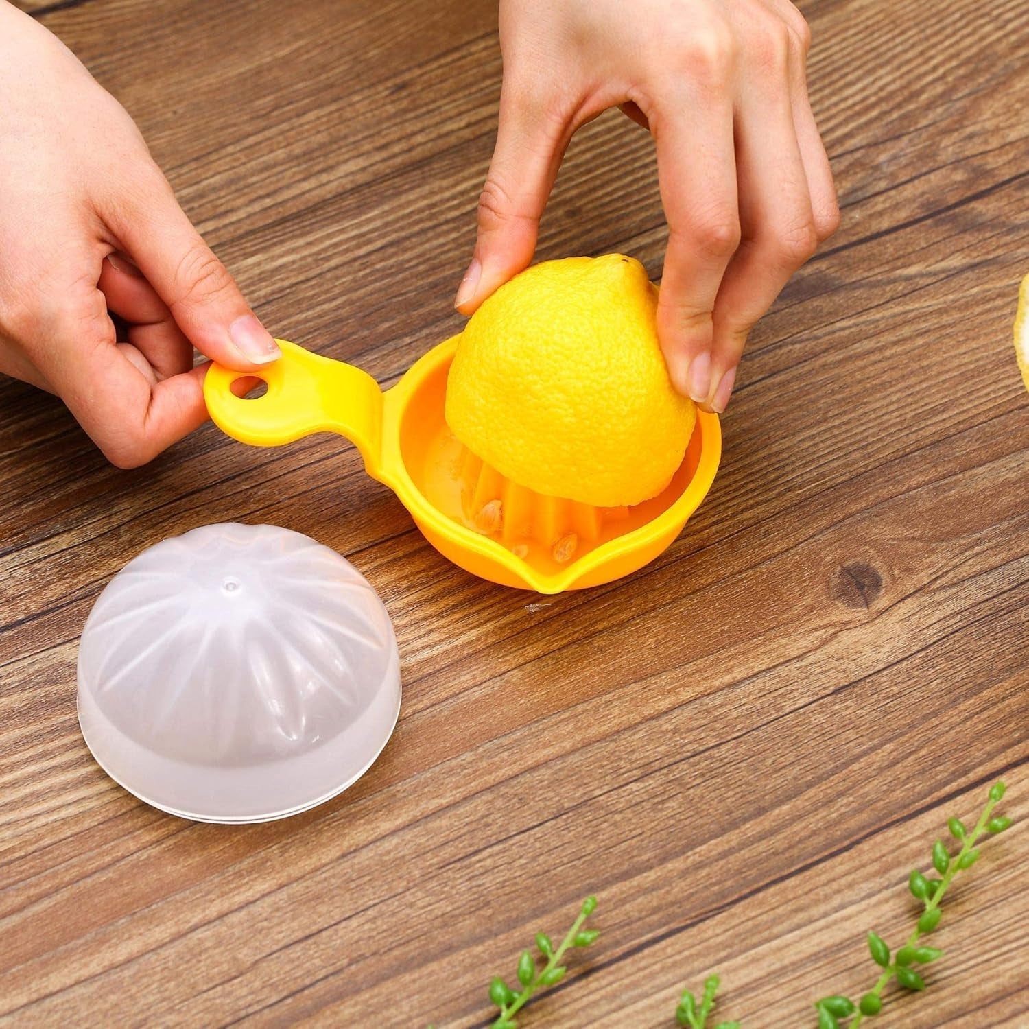 LemonCitrusPresser-03_6c428a4a-5940-4588-a810-79186b089690.jpg