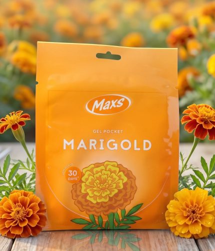 Marigold Gel Air Freshener – Long-lasting Refreshing Fragrance